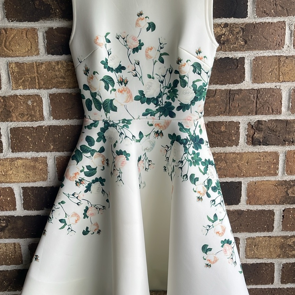 ERIN by Erin Fetherston White and Green Midi Dress - Picture 5 of 14